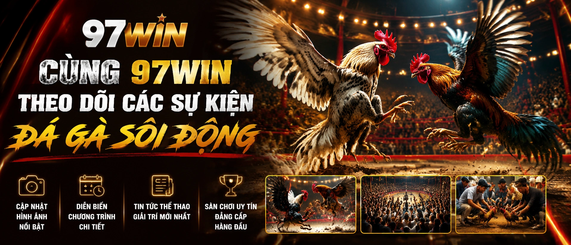 Đá Gà Trực Tiếp trên 97win.com.bz